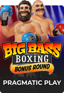 Slot cover 4