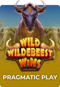 Slot cover 6